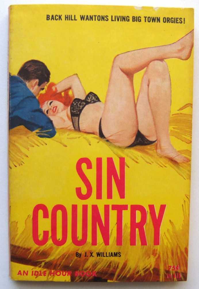 Image for Sin Country
