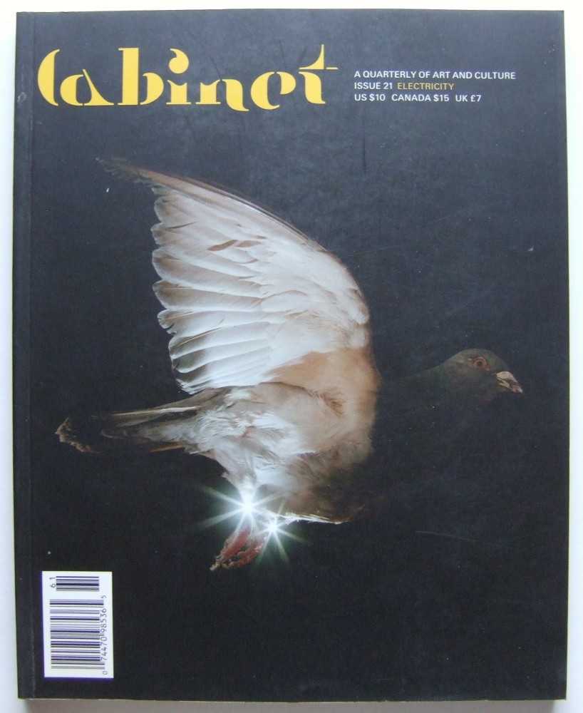 Image for Cabinet Magazine: A Quarterly Magazine of Art and Culture, Issue #21: Electricity (Spring, 2006)