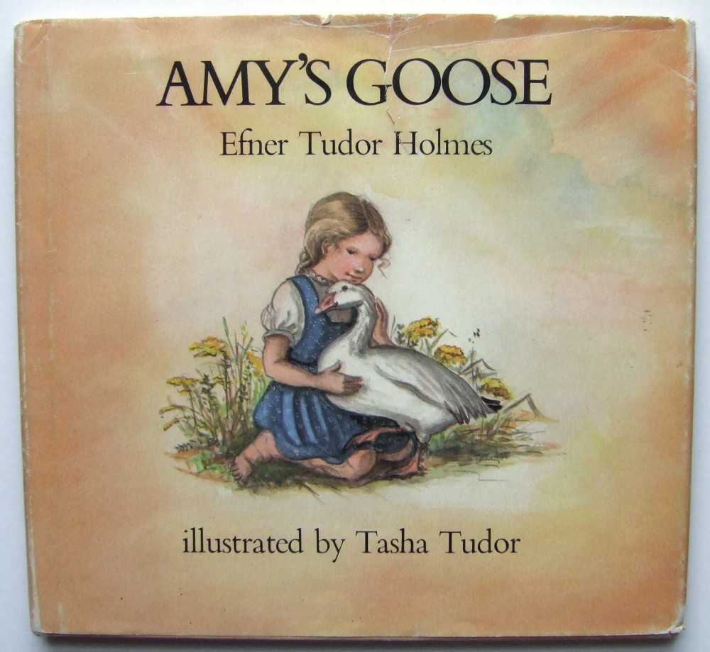 Image for Amy's Goose