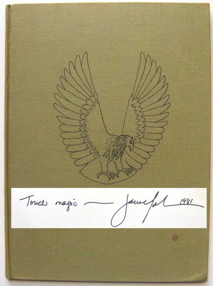 Image for The Boy Who Had Wings