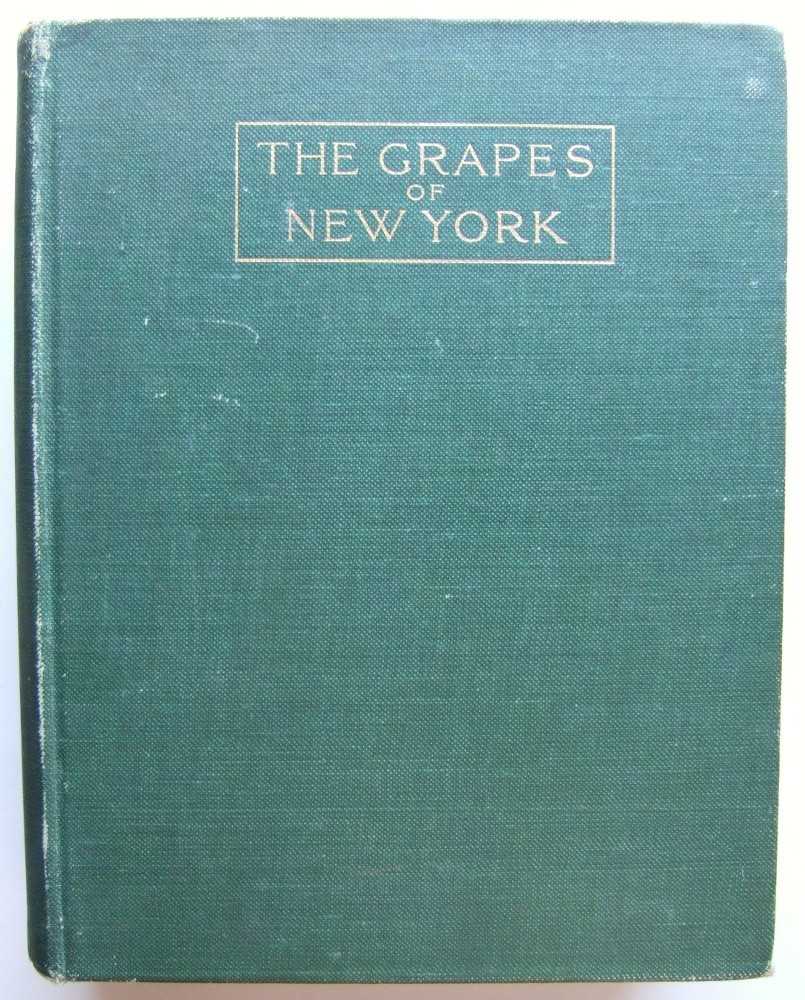 Image for The Grapes of New York (State of New York - Department of Agriculture - Fifteenth Annual Report - Volume 3, Part II)