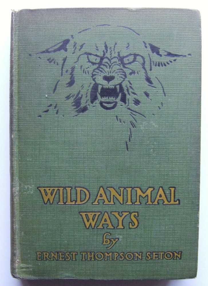 Image for Wild Animal Days