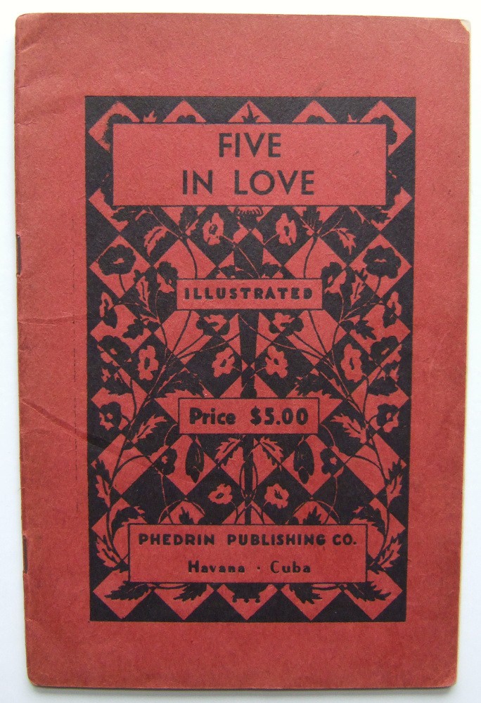 Five in Love, Illustrated