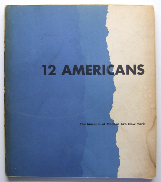 Image for 12 Americans