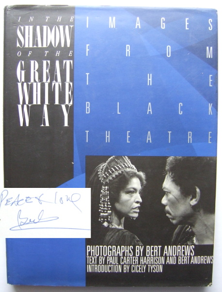 Image for In the Shadow of the Great White Way: Images from the Black Theatre