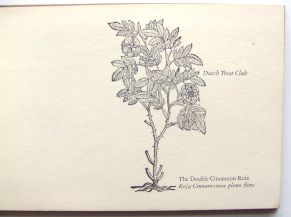 Dutch Treat Club, Year Book 1973: Under the Rose
