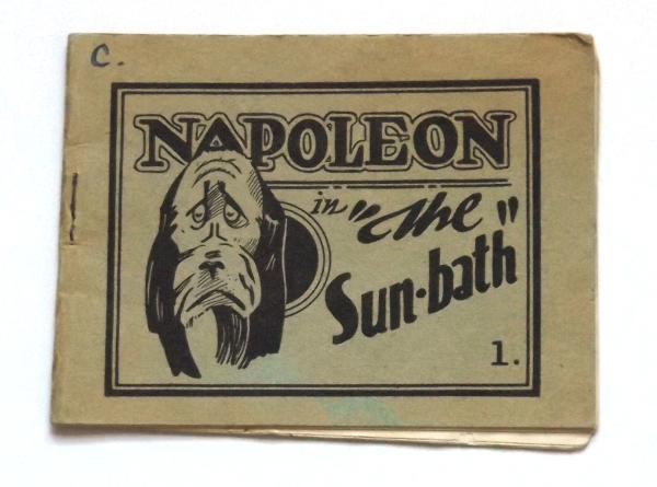 Napoleon in 